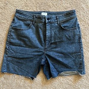 Ripton Jorts (Women’s 30)